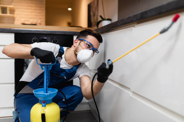 Best Pest Inspection Near Me  in St James, NY