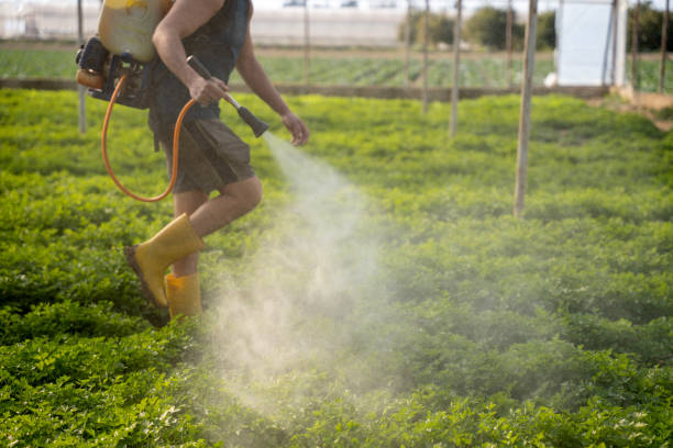 Best Best Pest Control Companies  in St James, NY