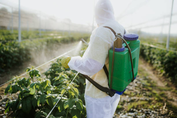 Best Emergency Pest Control  in St James, NY